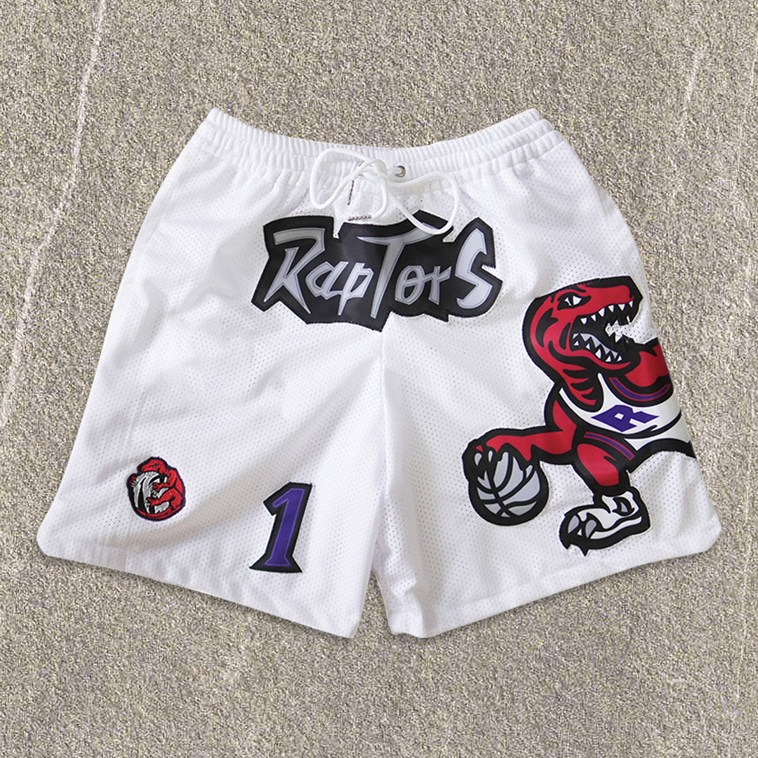 Raptors Street Basketball Mesh Shorts